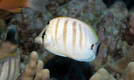 Photo by Janna Nichols