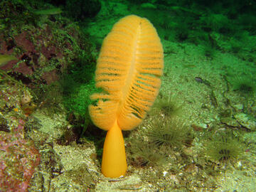 Photo by Janna Nichols Photo by Janna Nichols