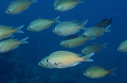 Photo by Janna Nichols