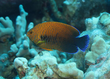 Photo by Janna Nichols