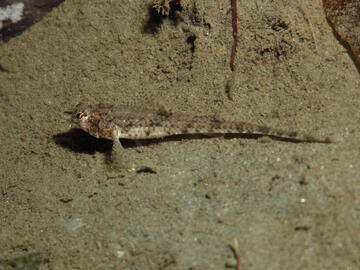 Photo by Janna Nichols