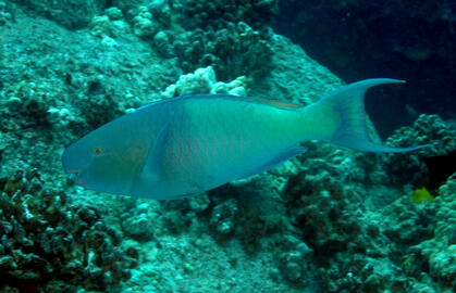 Photo by Janna Nichols Photo by Janna Nichols