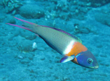 Photo by Janna Nichols