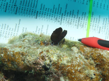 Photo by Janna Nichols