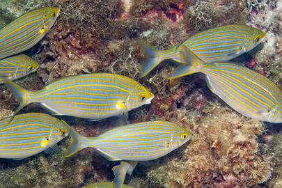 Photo by Stacey Henderson