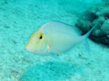 Photo by Janna Nichols Photo by Janna Nichols