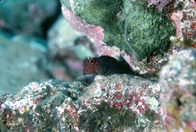 Photo by Ed Robinson Photo by Ed Robinson