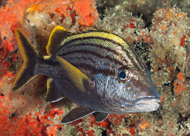 Photo by Jeff Haines