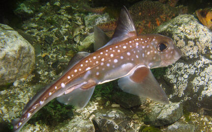 Photo by Janna Nichols Photo by Janna Nichols