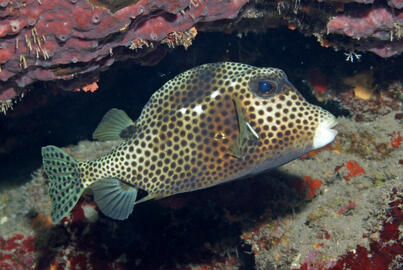 Photo by Janna Nichols