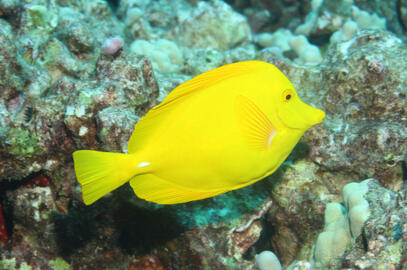 Photo by Janna Nichols Photo by Janna Nichols