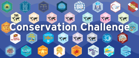 Conservation Challenge Stickers | Reef Environmental Education Foundation
