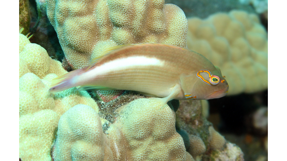 Photo by Janna Nichols