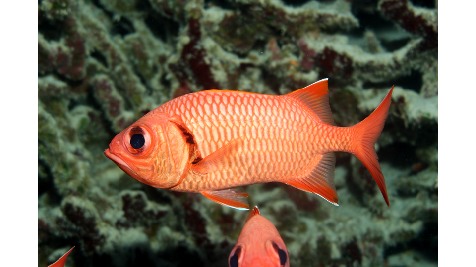 Photo by Janna Nichols