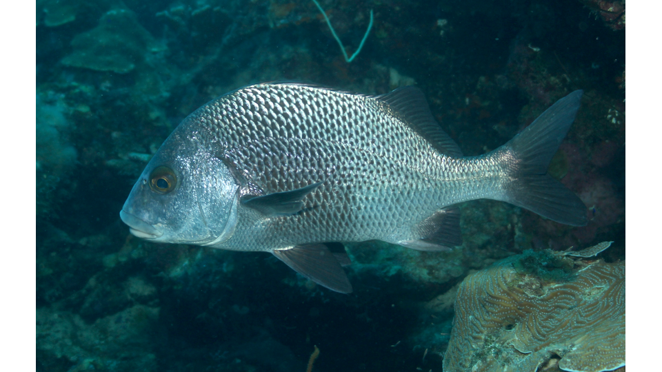 Photo by Janna Nichols