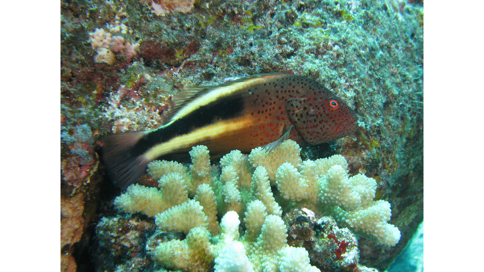 Photo by Janna Nichols