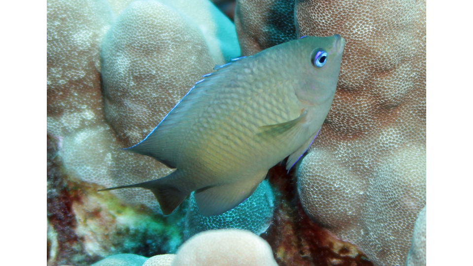 Photo by Janna Nichols