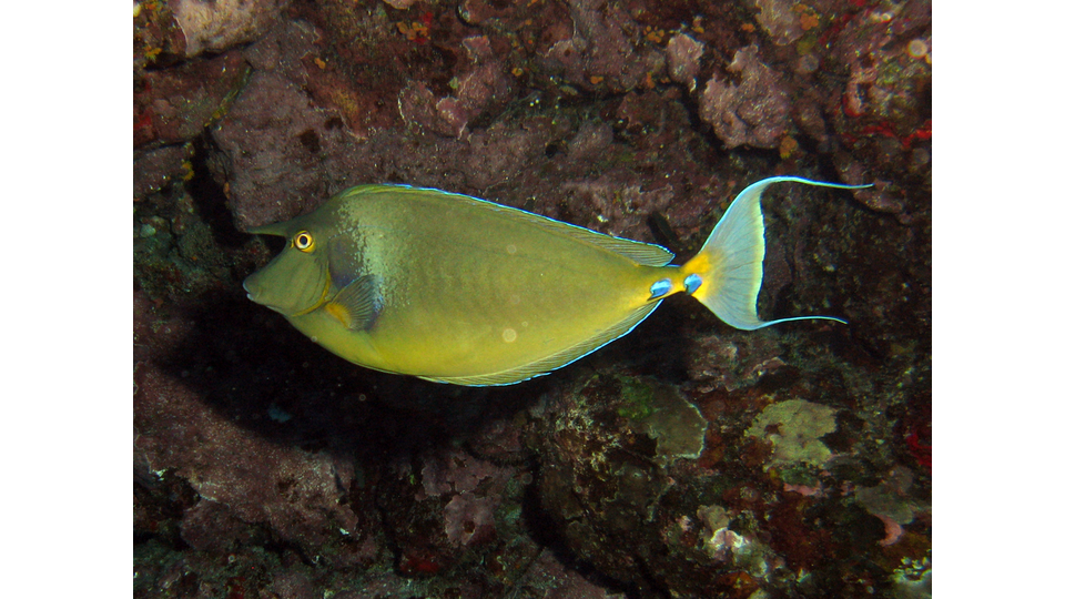 Photo by Janna Nichols