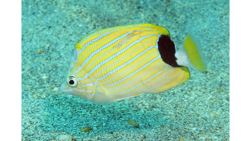 Photo by Janna Nichols