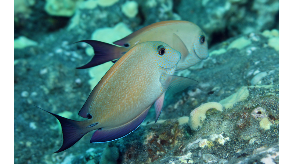 Photo by Janna Nichols