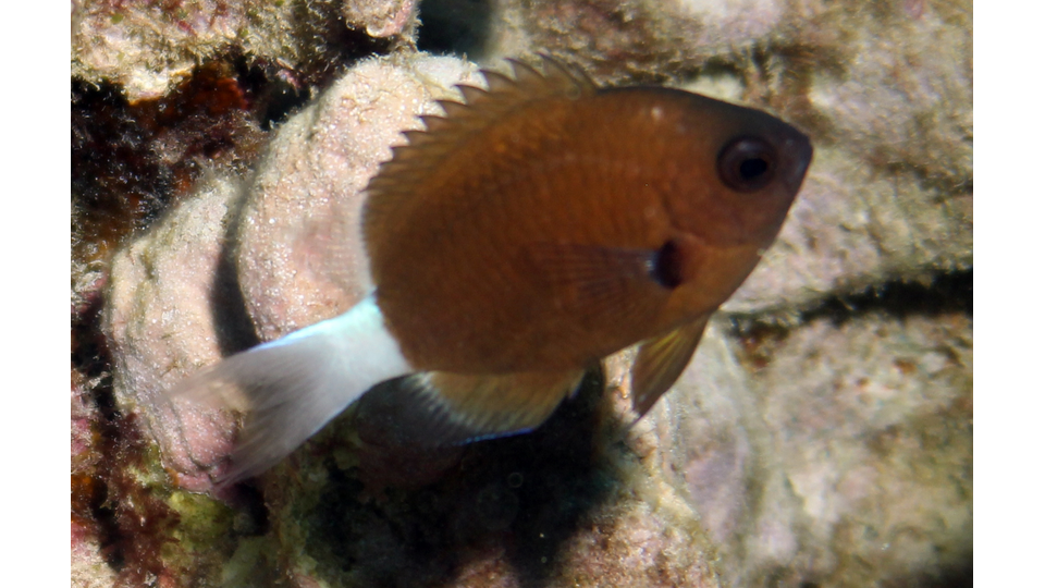 Photo by Janna Nichols