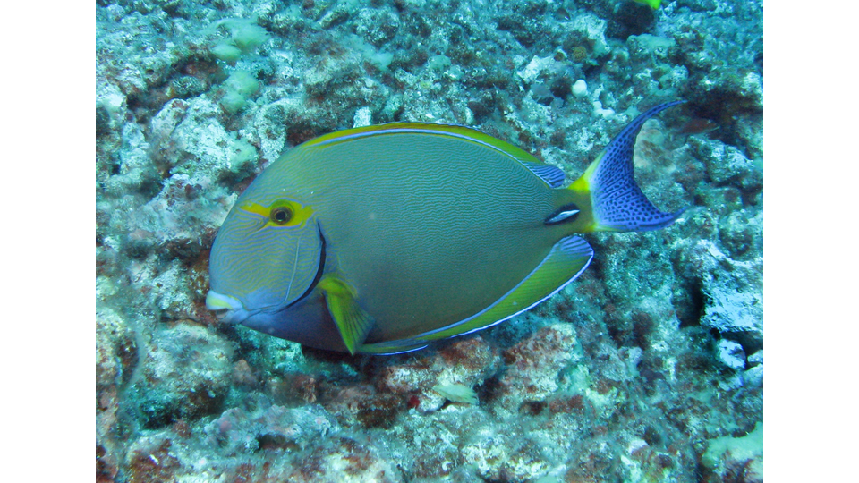 Photo by Janna Nichols