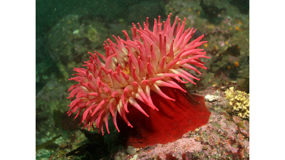 Photo by Janna Nichols