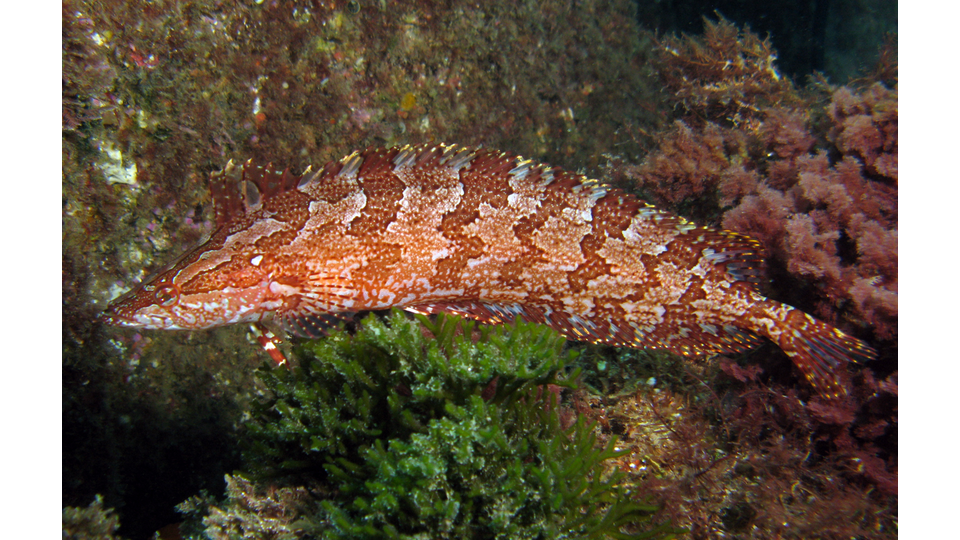 Photo by Janna Nichols