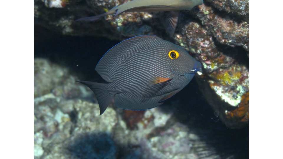 Photo by Janna Nichols