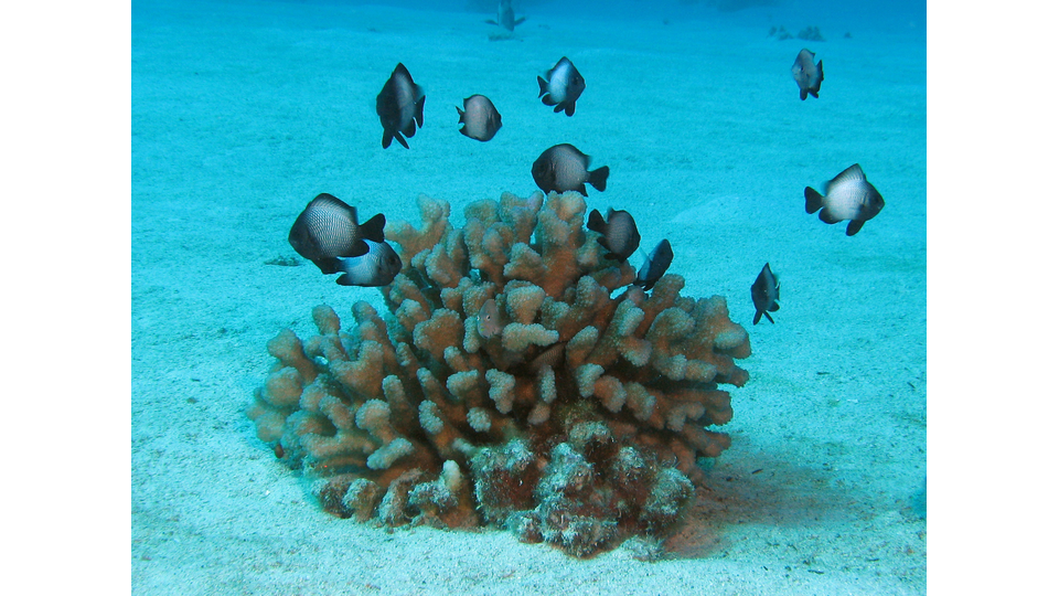 Photo by Janna Nichols