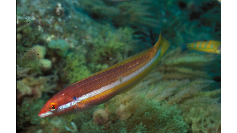 Photo by Frederico Cardigos @ImagDOP