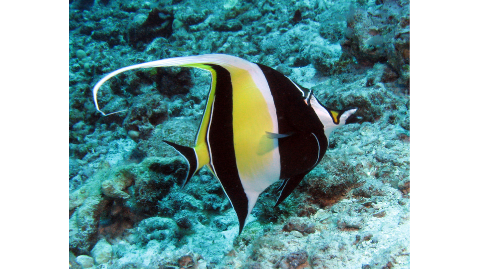 Photo by Janna Nichols