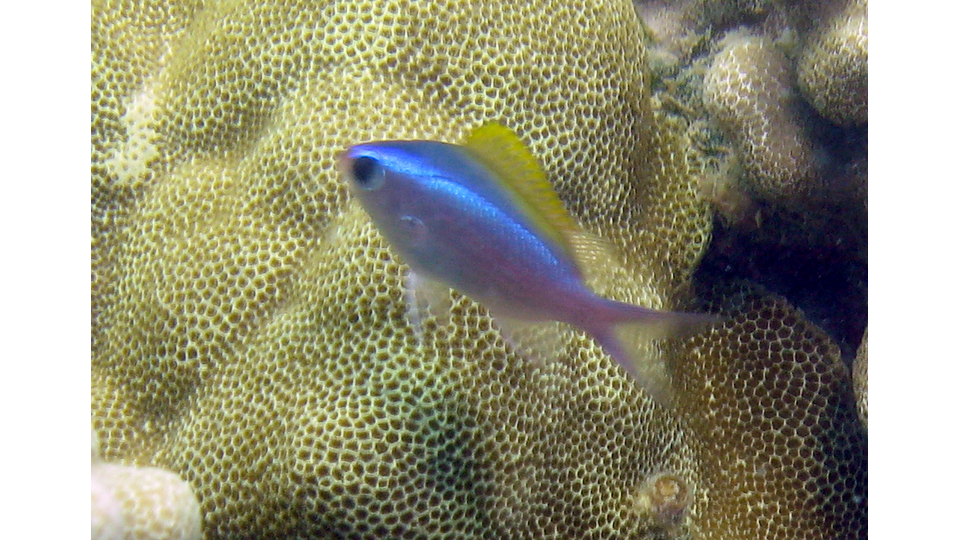 Photo by Janna Nichols