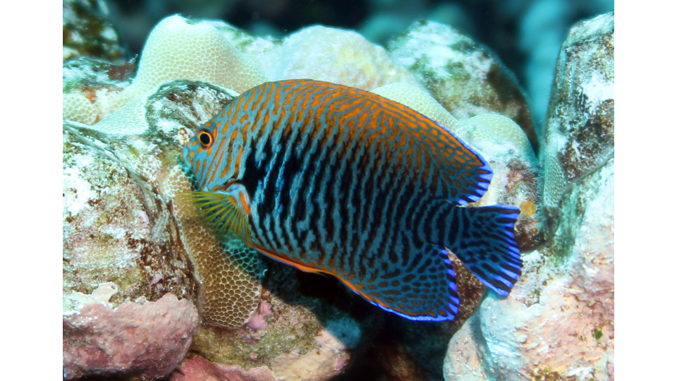 Photo by Janna Nichols