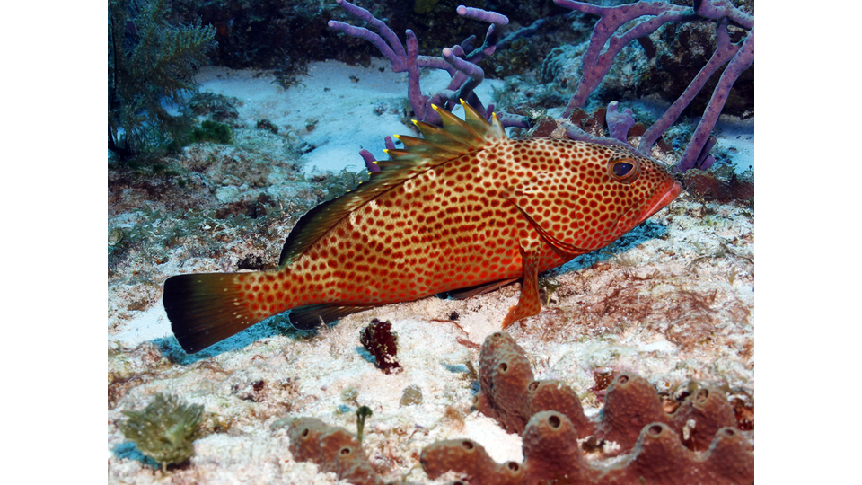 Photo by Janna Nichols