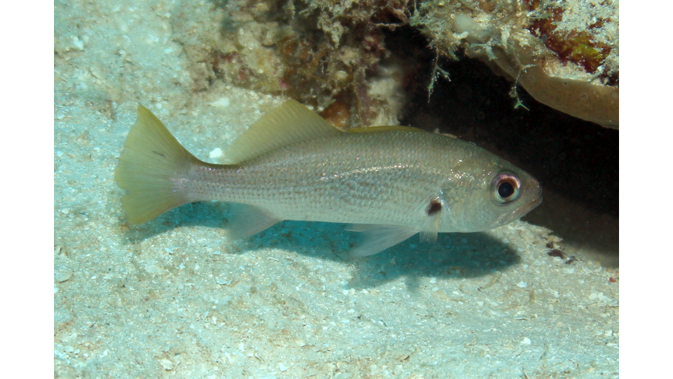 Photo by Janna Nichols