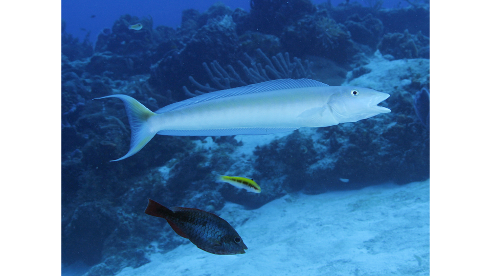 Photo by Janna Nichols