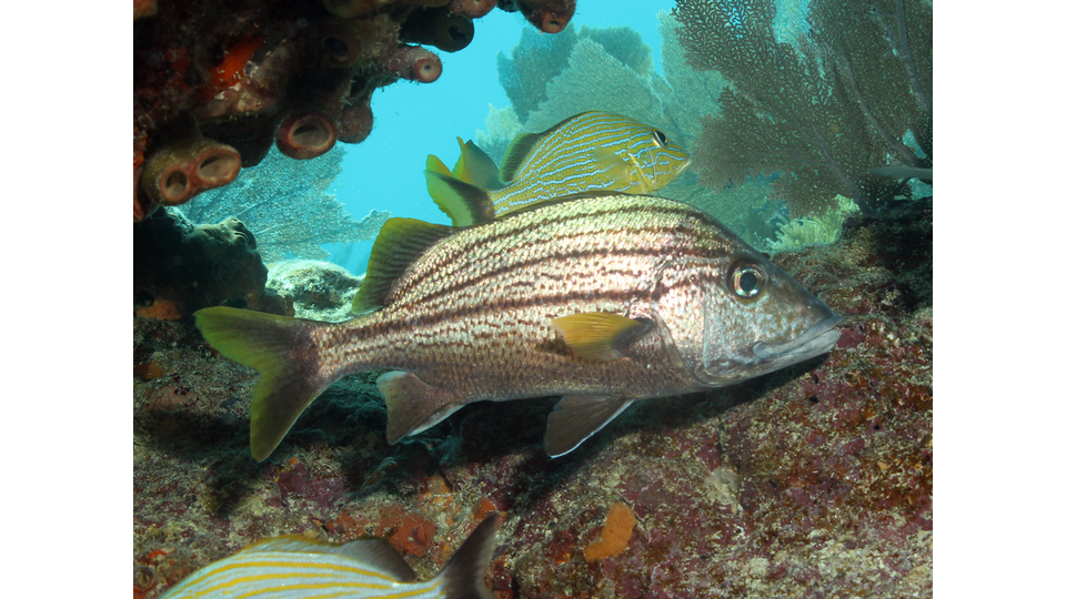 Photo by Janna Nichols