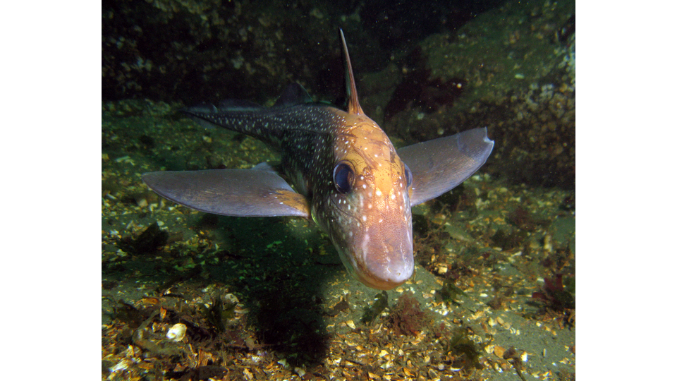 Photo by Janna Nichols