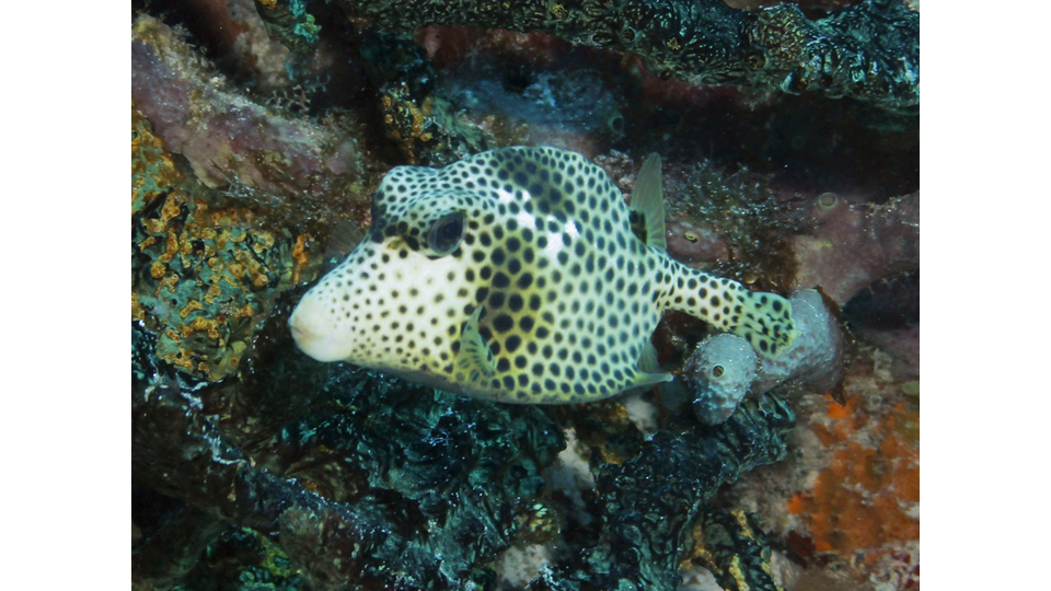 Photo by Janna Nichols