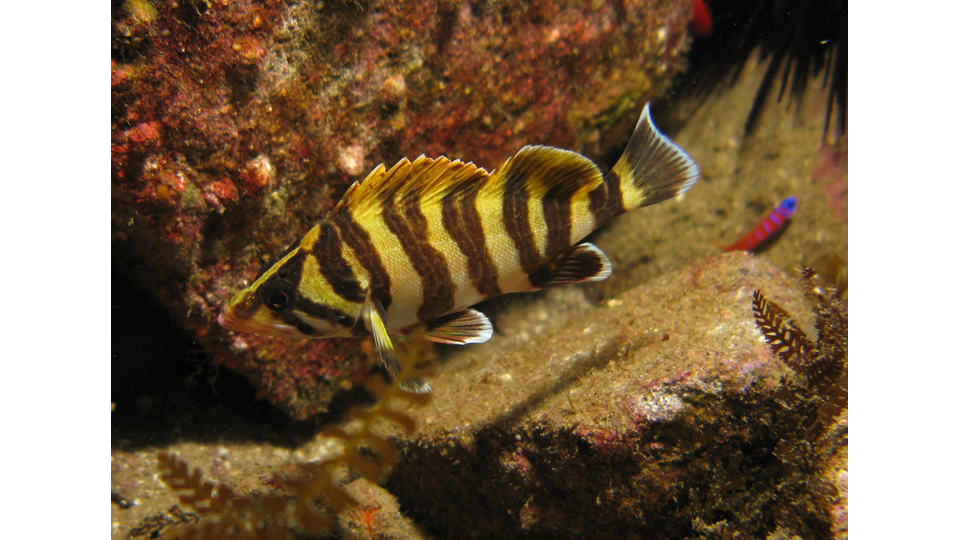 Photo by Janna Nichols