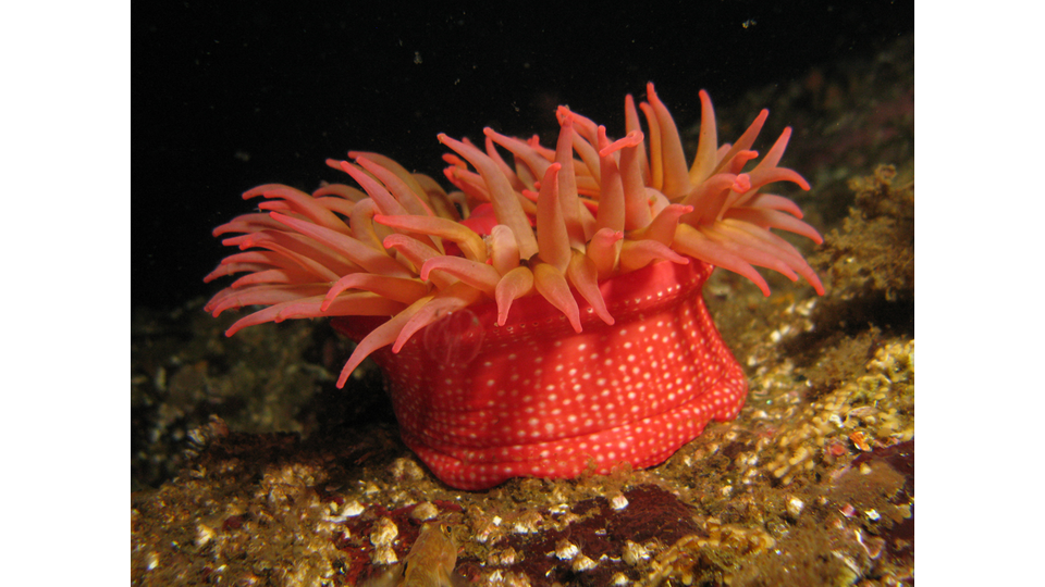 Photo by Janna Nichols