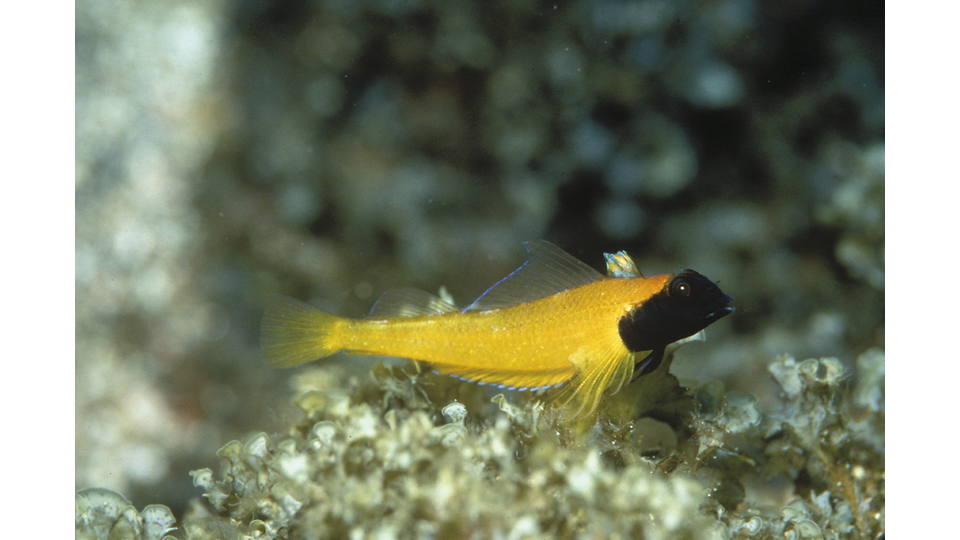 Photo by Robert Patzner @ImagDOP