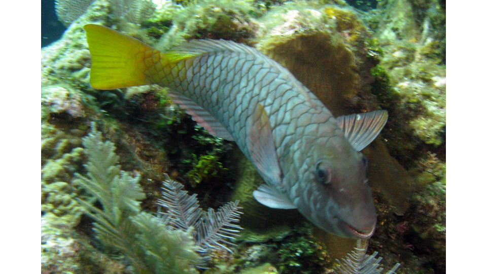 Photo by Janna Nichols