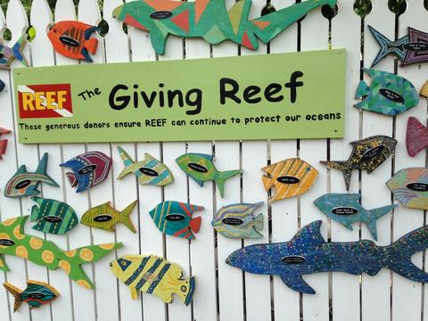 The Giving REEF