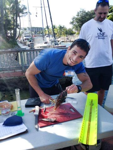 Lionfish dissections help collect data for genetic, growth and lionfish diet studies.