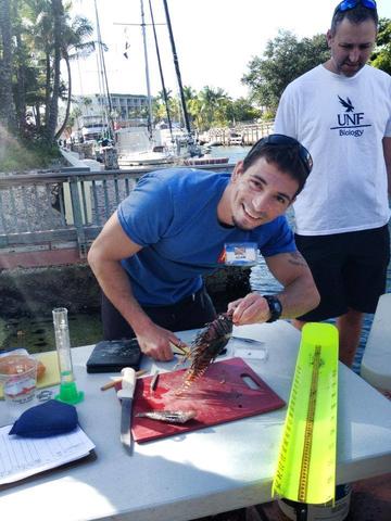 Lionfish dissections help collect data for genetic, growth and lionfish diet studies.
