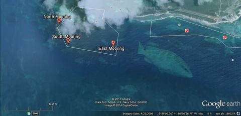 Nassau Grouper Spawning MPA, Little Cayman