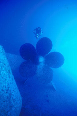 One of REEF's volunteer surveyors swimming over the prop.  Photo by Laddie Akins, REEF.