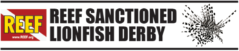 REEF Sanctioned Derby logo